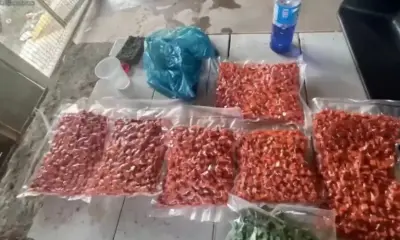 ACRE-976x695_IMAGEM-DESTACADA-54-976×600 ACRE-976x695_IMAGEM-DESTACADA-54-976x600