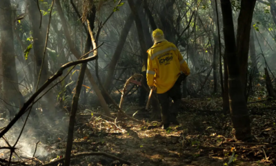 Brigadista-atuando-em-incendio-na-Amazonia Brigadista atuando em incêndio na Amazônia (Agência Santarém)