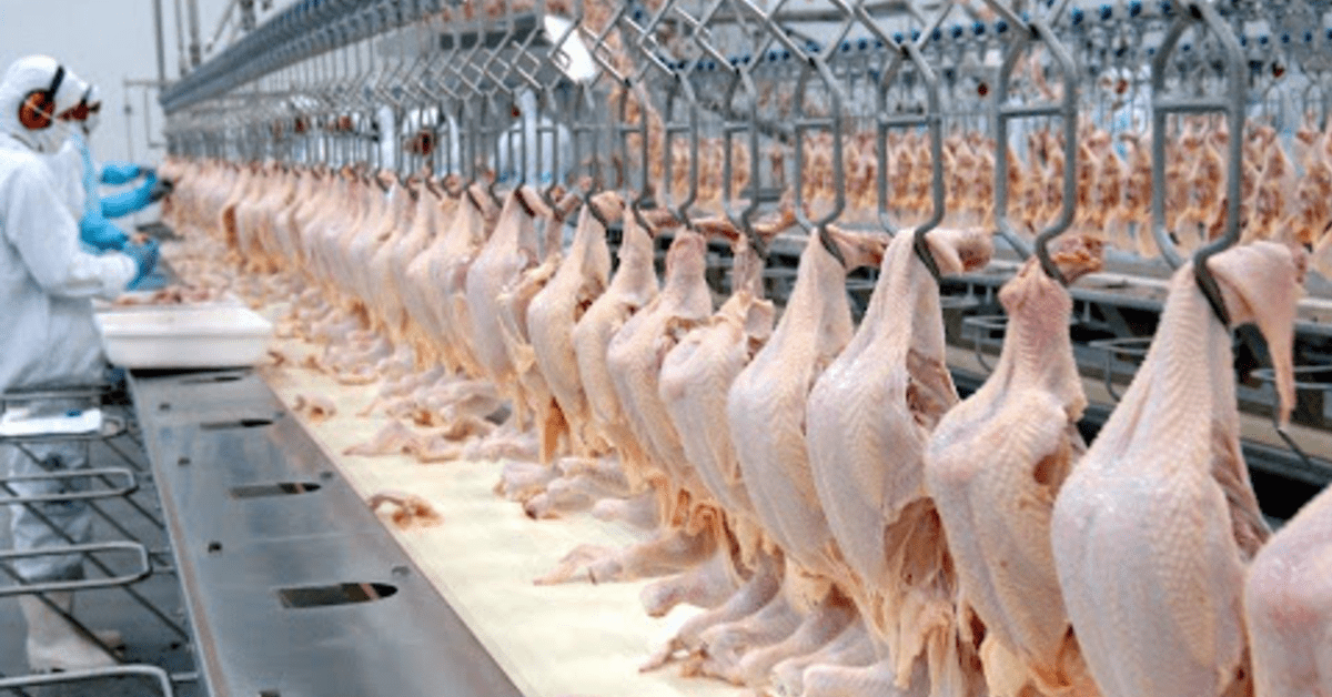 Suspensão chinesa da compra de carne de frango não afeta o Acre