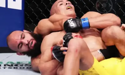 IMG_1458-e1747569074820-1000×600 IMG_1458-e1747569074820-1000x600