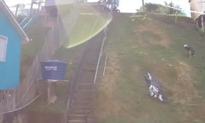 JURUA_CAIU–1000×600 Screenshot