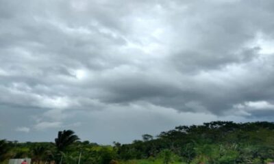 QUESIA-TEMPO-1-768×427-1 QUESIA-TEMPO-1-768x427-1