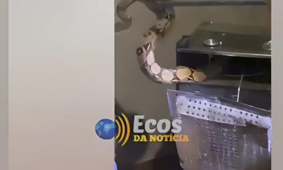 WhatsApp Image 2025-05-05 at 11.14.48 WhatsApp Image 2025-05-05 at 11.14.48