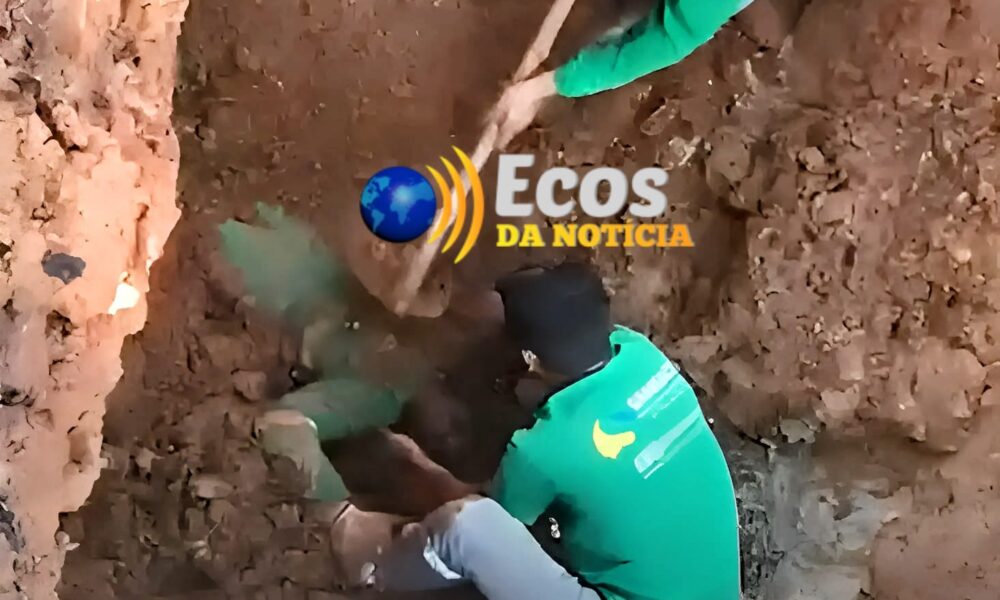 WhatsApp Image 2025-05-07 at 18.46.51