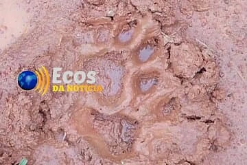 WhatsApp Image 2025-05-09 at 12.36.33