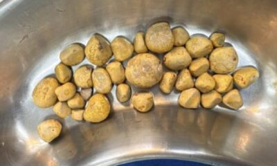 WhatsApp Image 2025-05-09 at 14.28.43