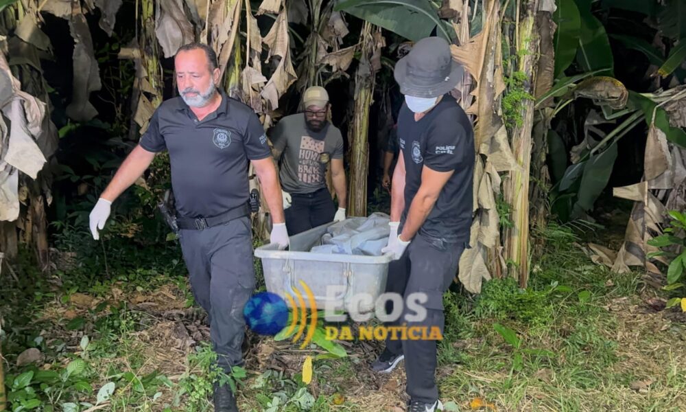 WhatsApp Image 2025-05-11 at 08.05.30