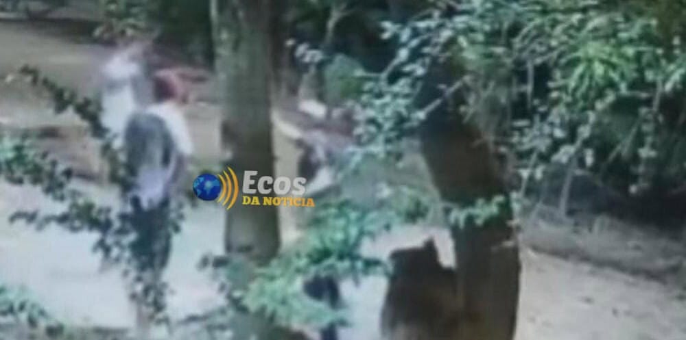 WhatsApp Image 2025-05-12 at 18.14.58