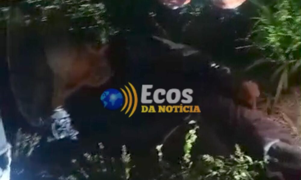 WhatsApp Image 2025-05-13 at 22.14.22