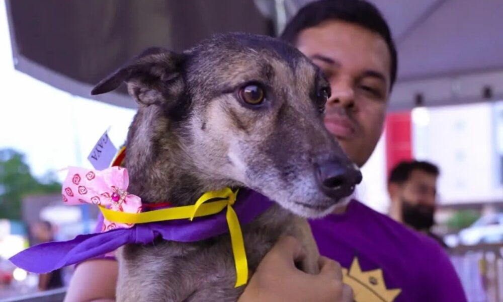 WhatsApp Image 2025-05-15 at 18.18.56