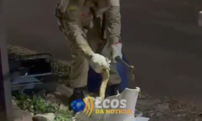 WhatsApp Image 2025-05-19 at 03.52.25