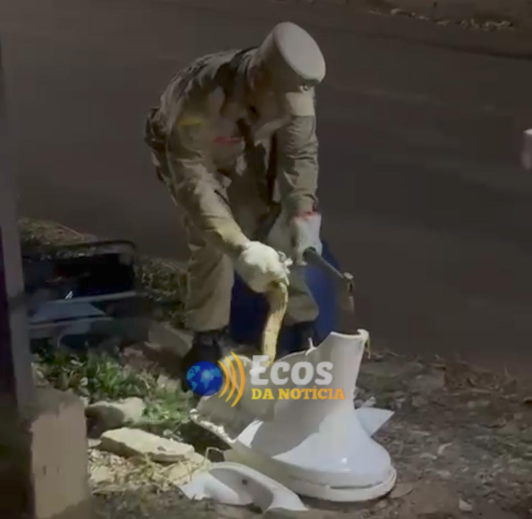 Moradores encontram cobra em vaso sanitário e acionam Corpo de Bombeiros