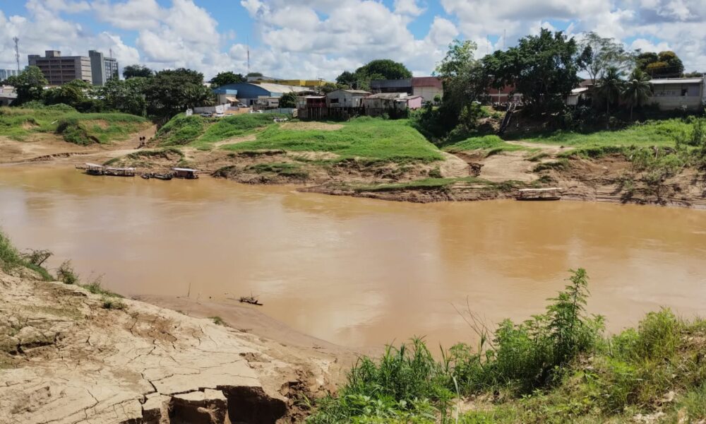 WhatsApp Image 2025-05-21 at 08.57.53