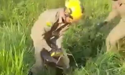 WhatsApp Image 2025-05-22 at 13.28.55