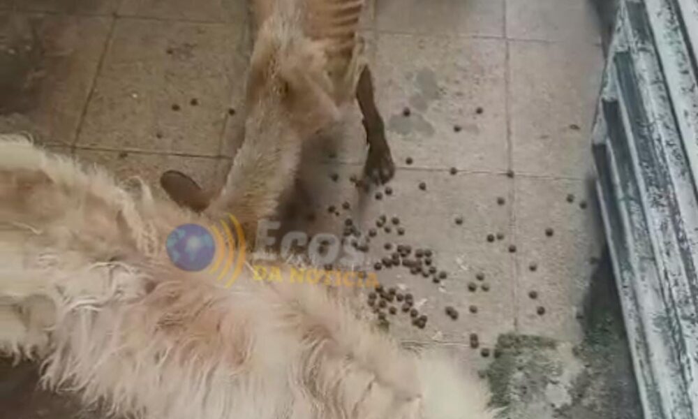 WhatsApp Image 2025-05-26 at 18.35.18