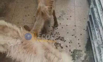 WhatsApp Image 2025-05-26 at 18.35.18