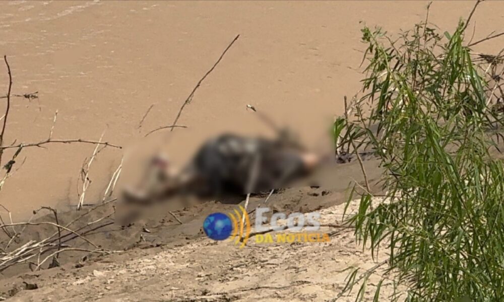 WhatsApp Image 2025-05-28 at 13.07.57