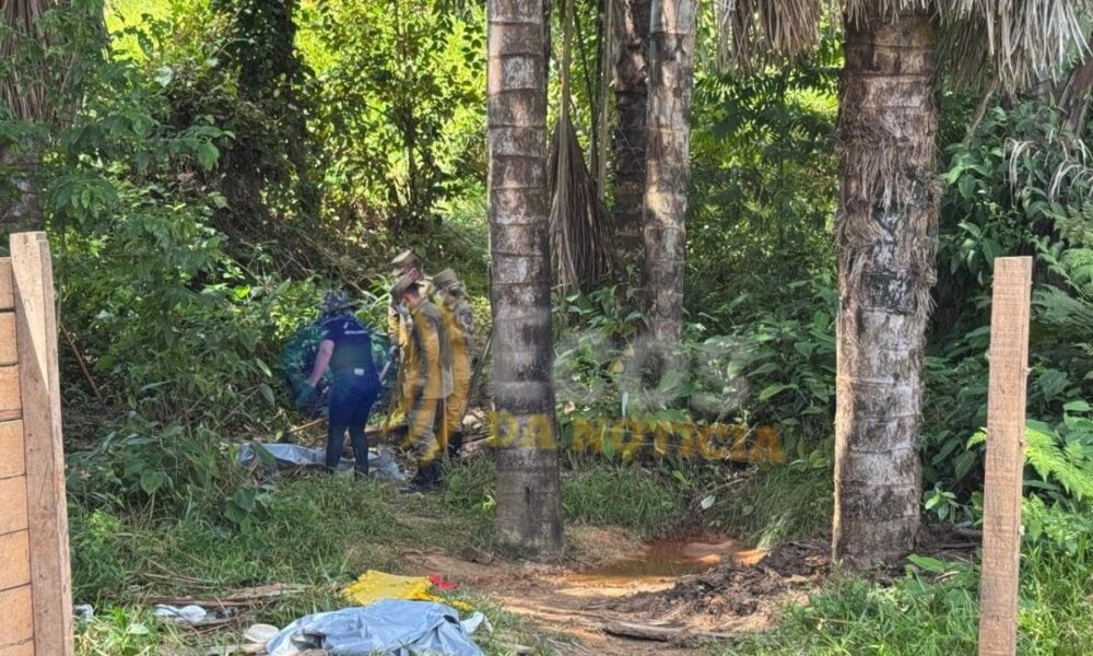 WhatsApp Image 2025-05-28 at 15.54.39