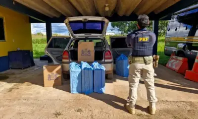 d9b1d91b-6803-403d-be21-376ad9176dfb