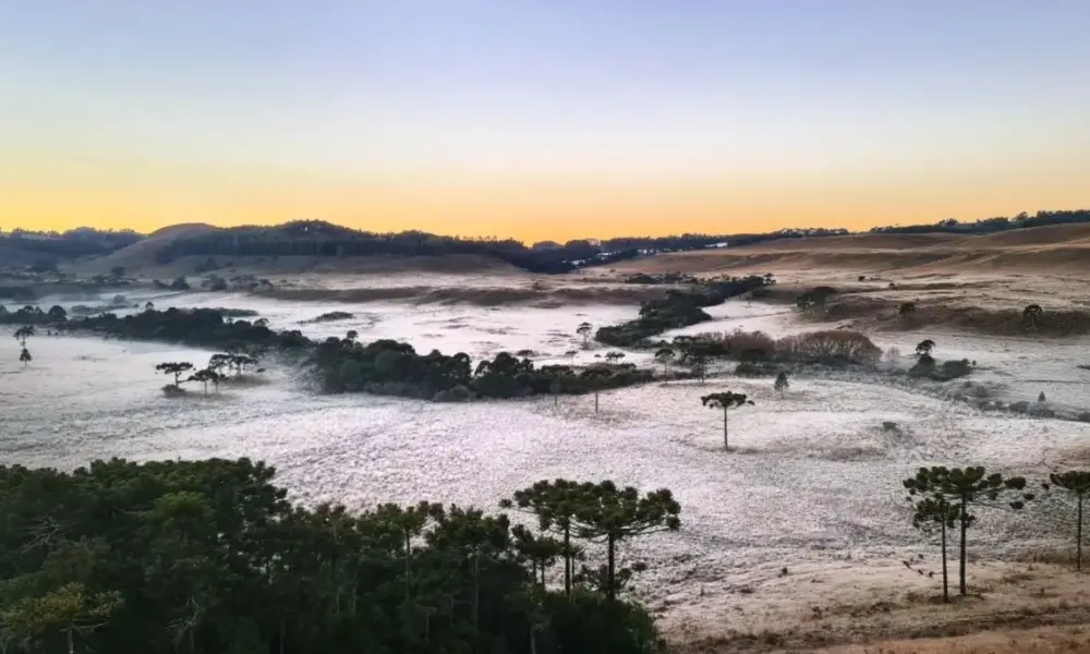 Frio na Serra Catarinense (Foto: Paulo/Fotos Públicas)