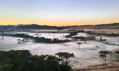 geadas-SC Frio na Serra Catarinense (Foto: Paulo/Fotos Públicas)