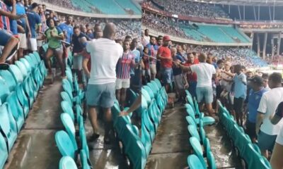 imagem_bnews_11_widelg Briga aconteceu durante o triunfo do Bahia sobre o Botafogo, pelo Campeonato Brasileiro  |   Bnews - Divulgação Reprodução/Redes sociais