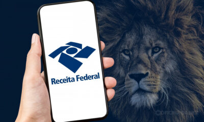 imposto-de-renda-2024-veja-como-baixar-o-programa-da-receita-federal-1 Imagem: Oficina da Net