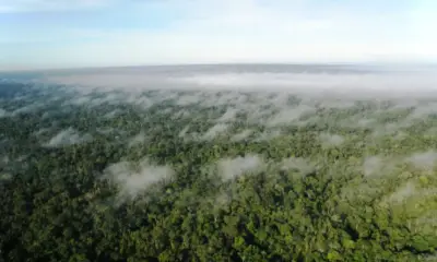 sobrevoo_rbrxmurb_26_04_10_brunotaitson_017-1000×600 Foto: WWF-Brasil/Bruno Taitson