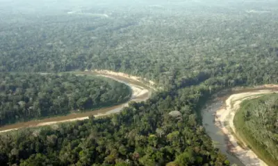 Foto: Juvenal Pereira/ WWF-Brasil